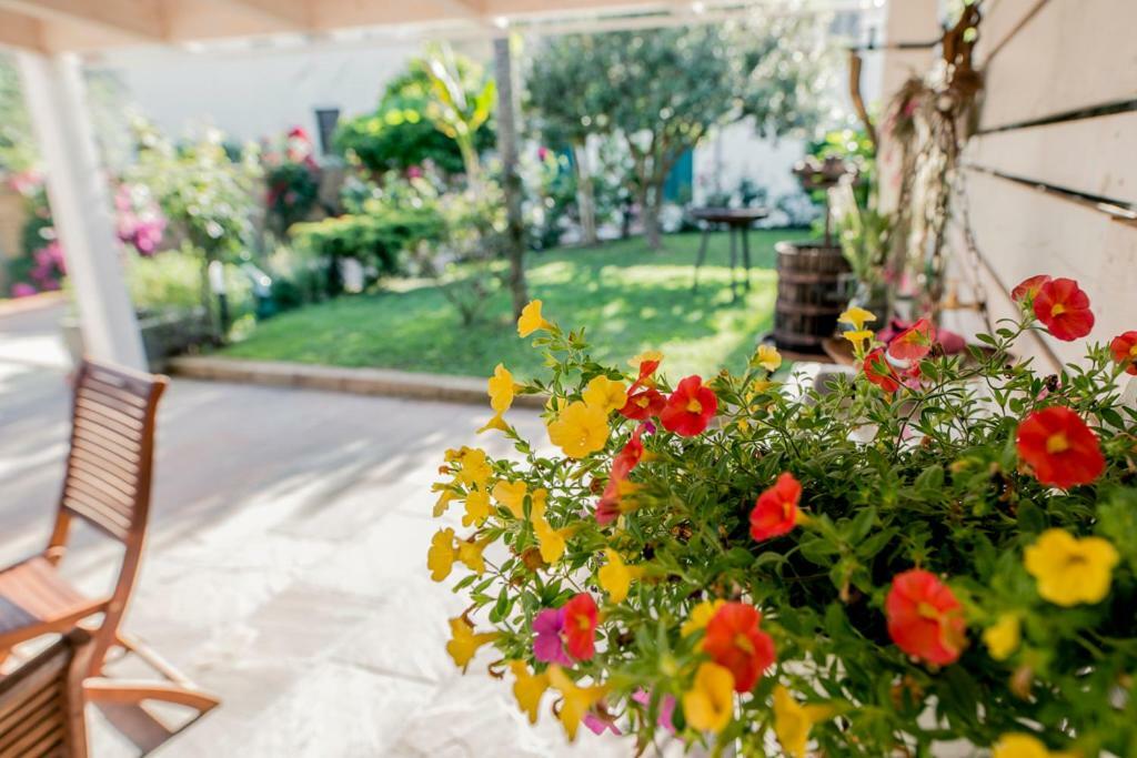 Casa Vittoria Villa Camaiore Kültér fotó