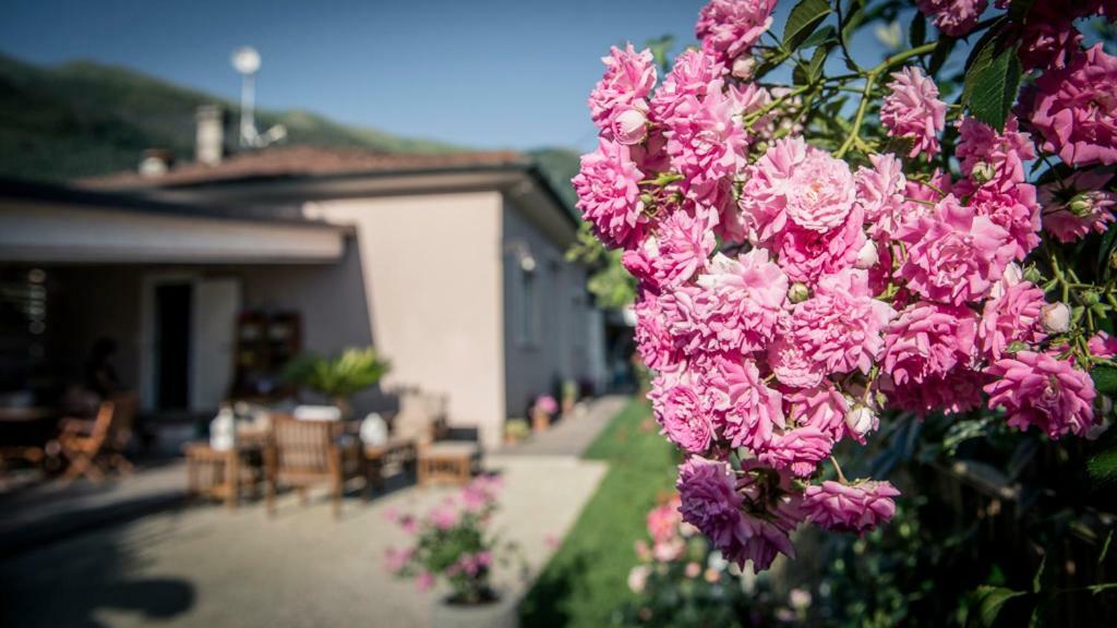 Casa Vittoria Villa Camaiore Kültér fotó